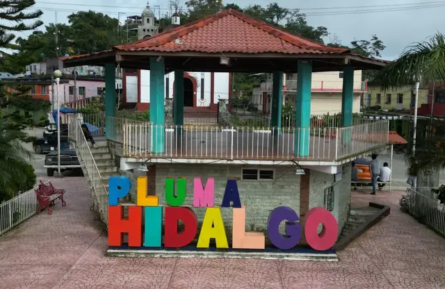 Coffee Tour in Pluma Hidalgo with Transportation