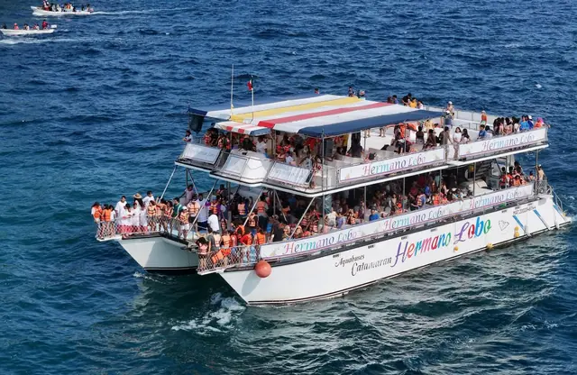 Bays catamaran tour