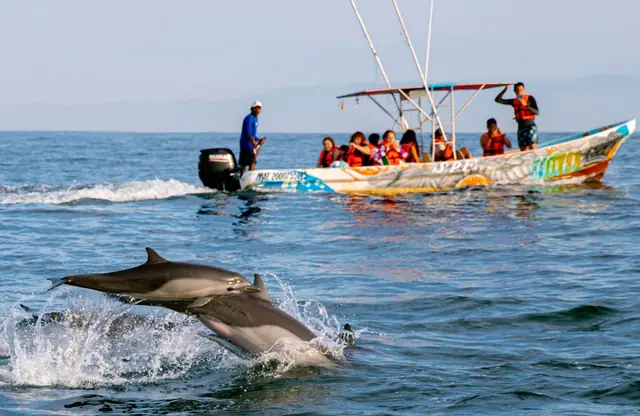 Puerto Escondido Beaches & Marine Life