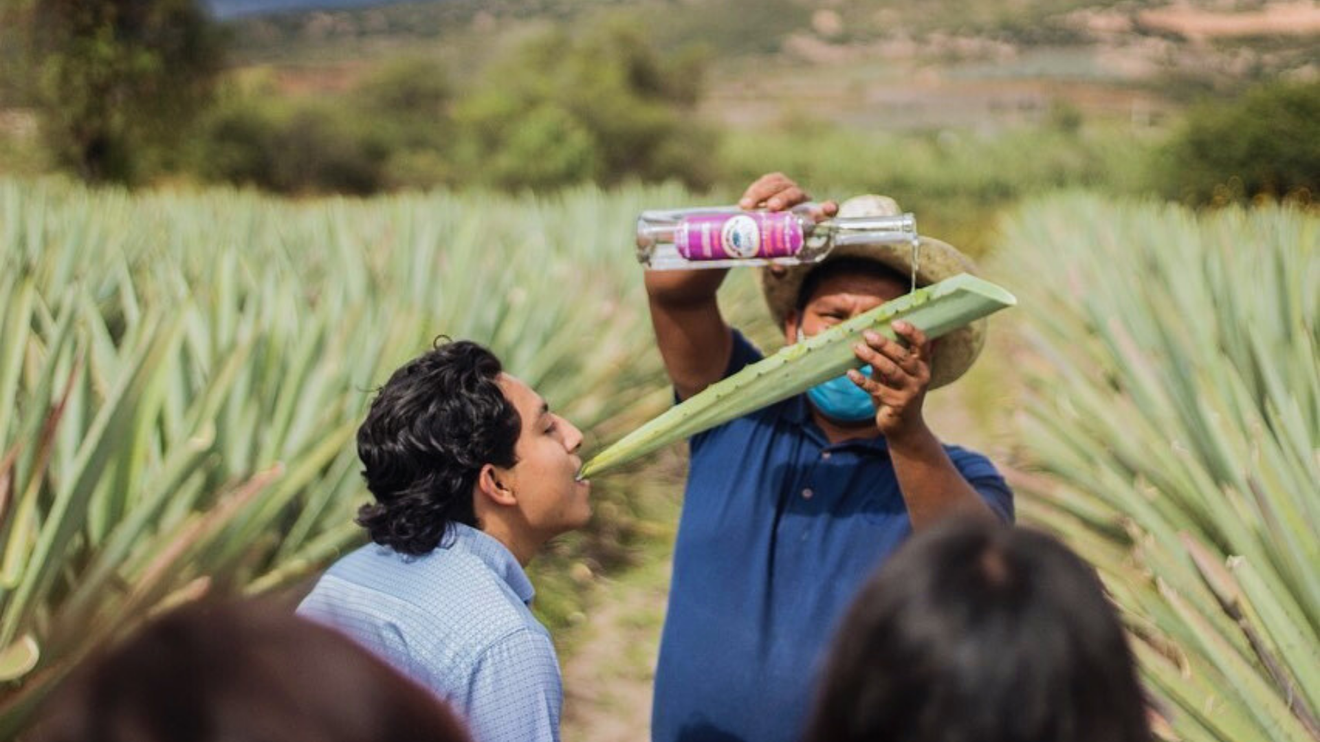 A Beginner’s Guide to Mezcal Tasting in Oaxaca