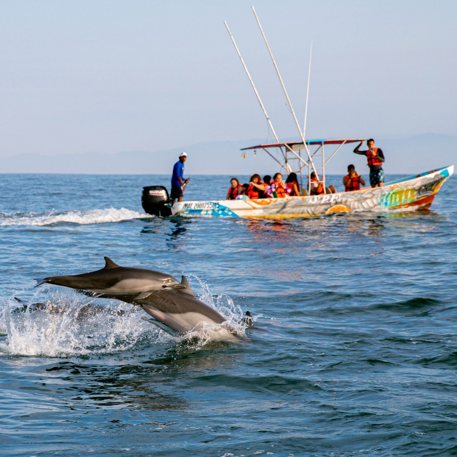 Puerto Escondido Beaches & Marine Life