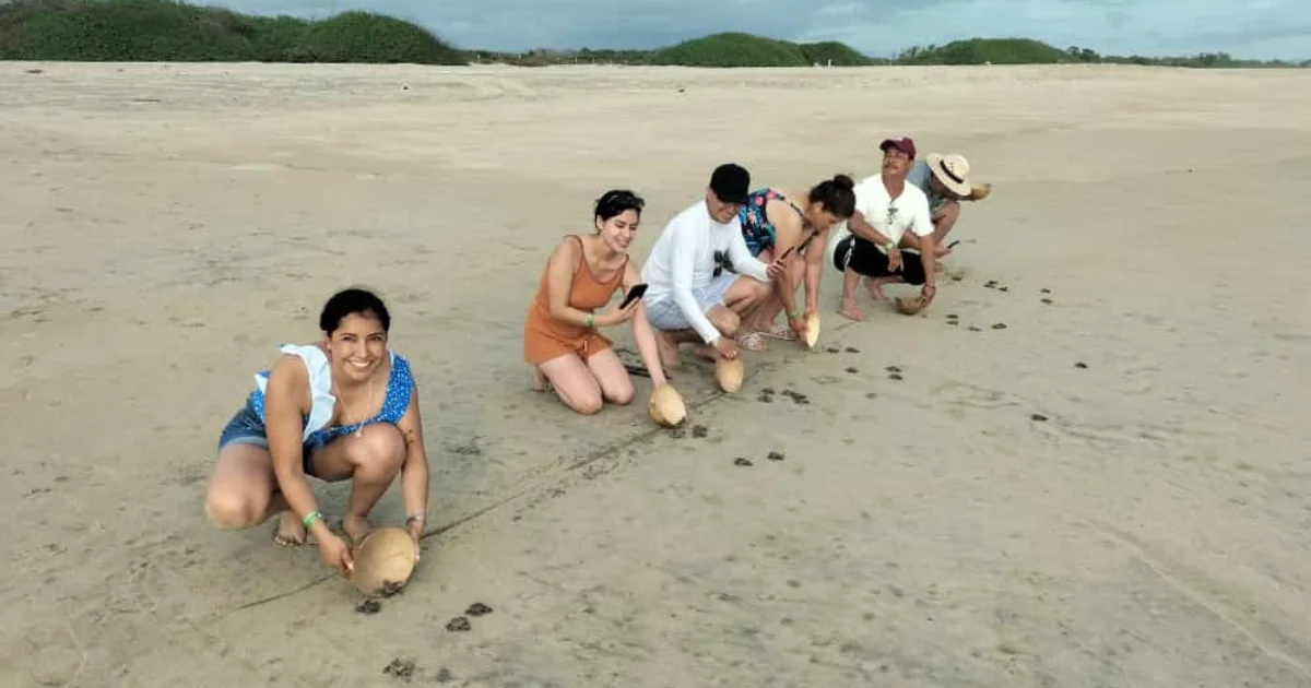 Turtle Releases on the Oaxaca Coast: A Responsible Guide