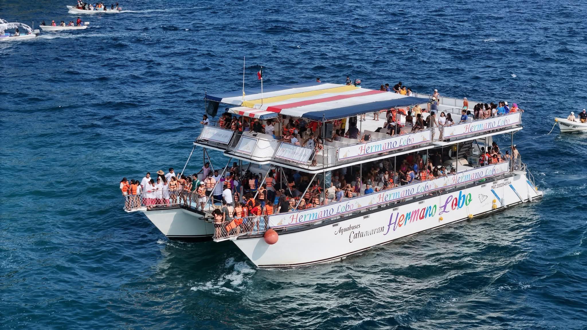 Bays catamaran tour