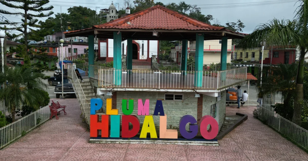 Coffee Tour in Pluma Hidalgo with Transportation