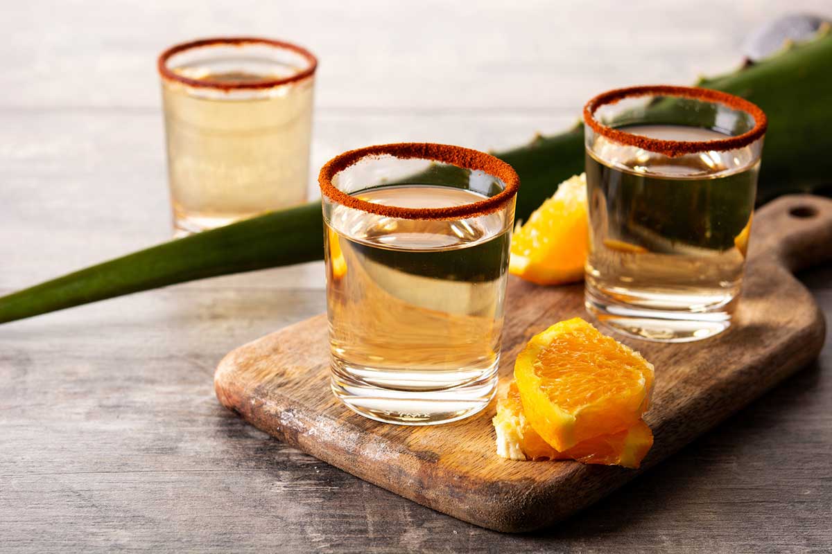 Mezcal vs Tequila: What Makes Oaxaca Mezcal Truly Unique?