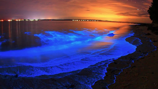 Photo from customer review