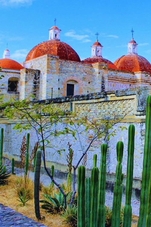 Diseno sin titulo 77