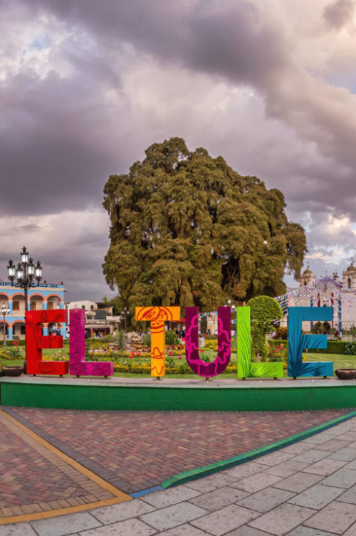 Diseno sin titulo 78